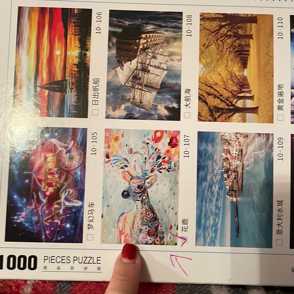 1000 piece puzzle w fold out picture of the puzzle inside. New a pretty bag. - Picture 1 of 4